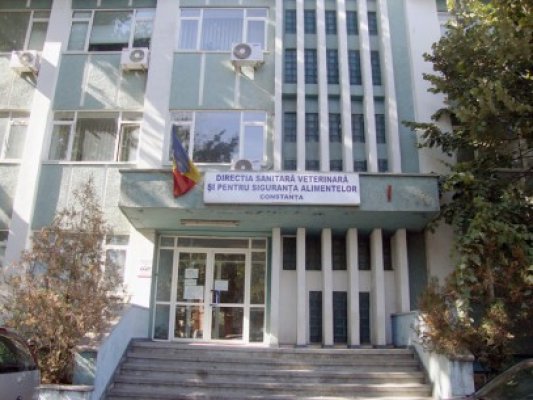 Schimbare de situaţie: Medicul DSV, acuzat de luare de mită, rămâne după gratii